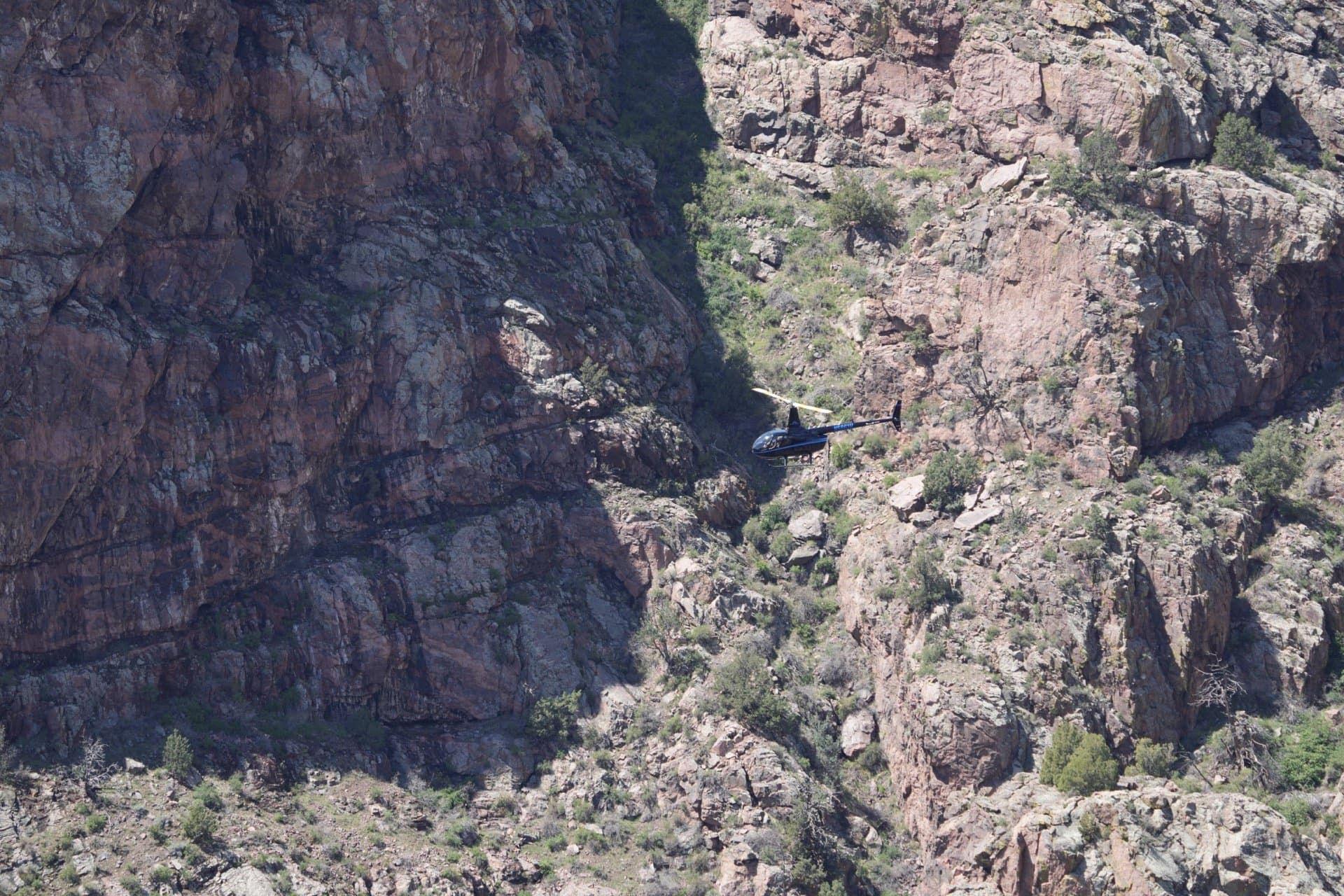 Bighorn Sheep Canyon Rafting